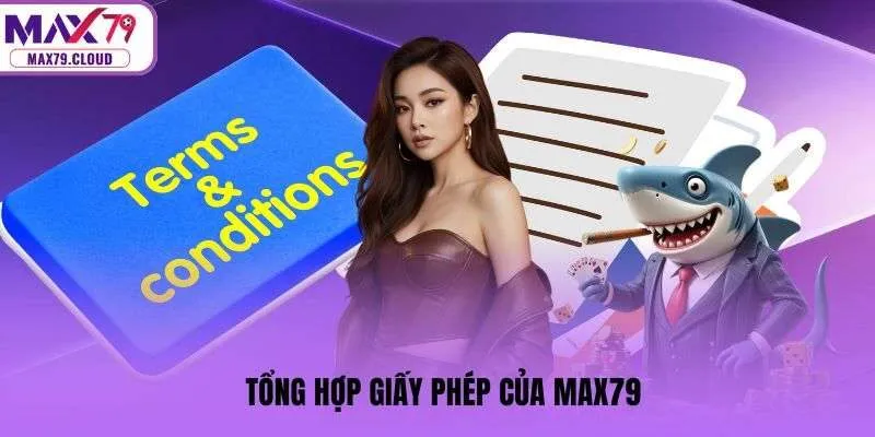 Tổng hợp giấy phép của MAX79